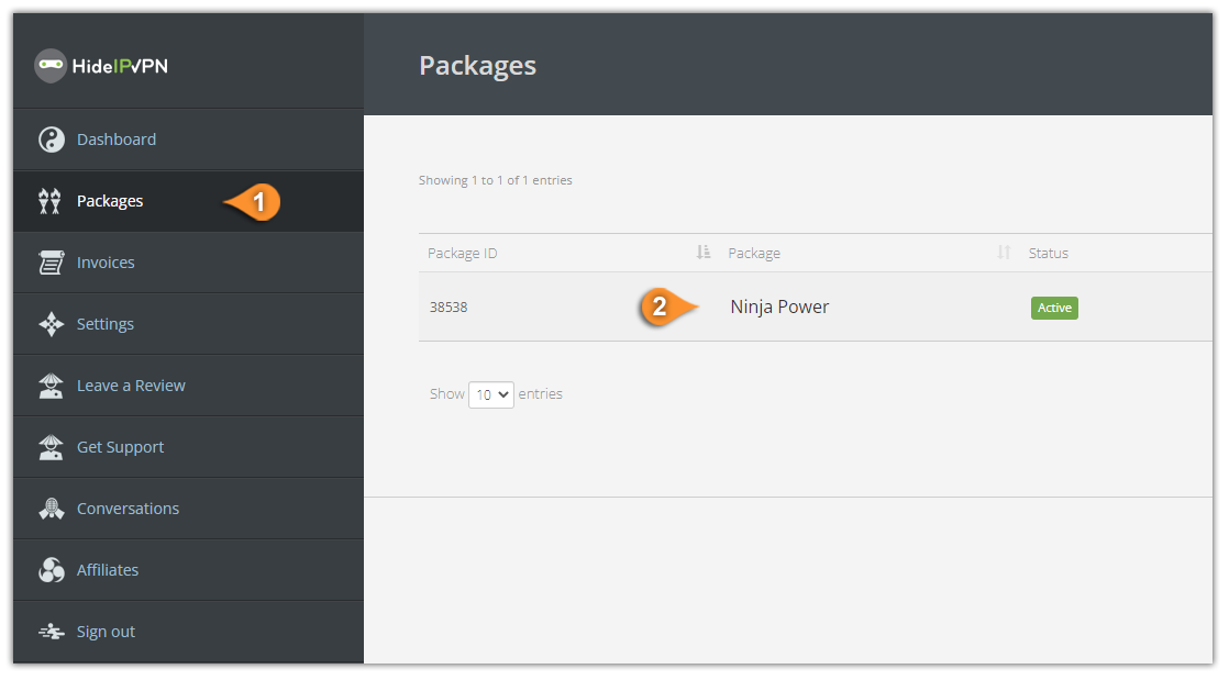 How to update user's IP address for Smart DNS - HideIPVPN services