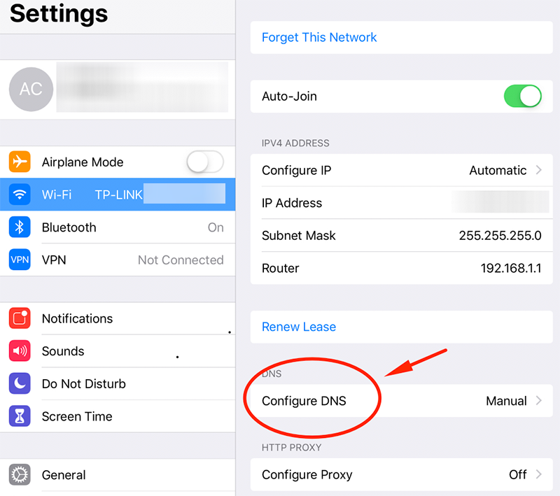 setup smart dns on ipad