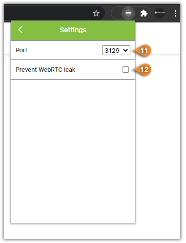 hideipvpn chrome extension webrtc