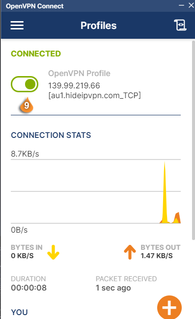 openvpn connect toggle