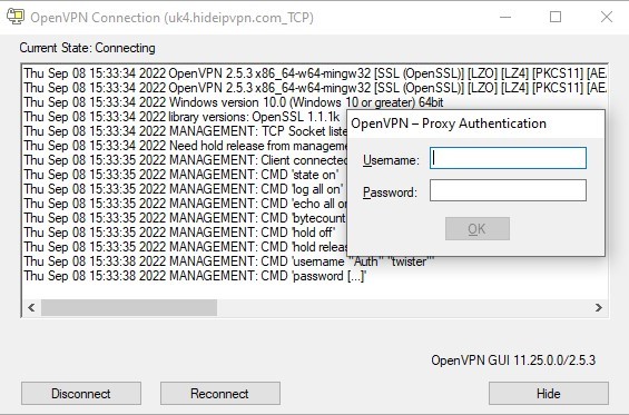 openvpn_gui_proxy