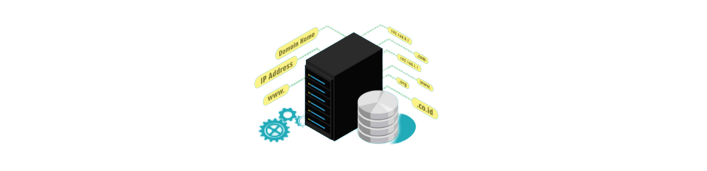 change dns manually