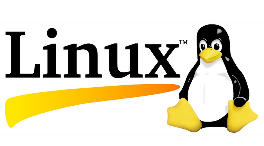 static ip linux
