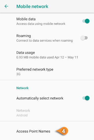 Access Point Names