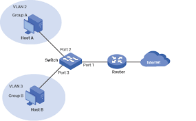 set up a vlan